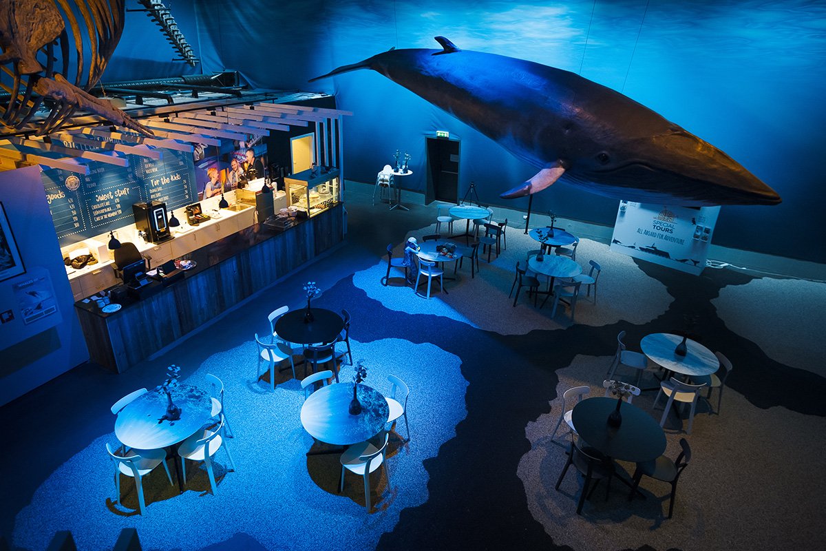 Het Whales of Iceland in Reykjavik in IJsland