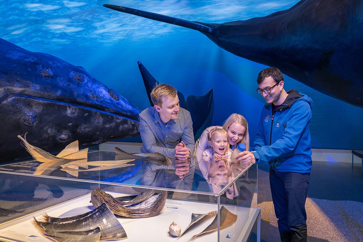 Het Whales of Iceland in Reykjavik in IJsland