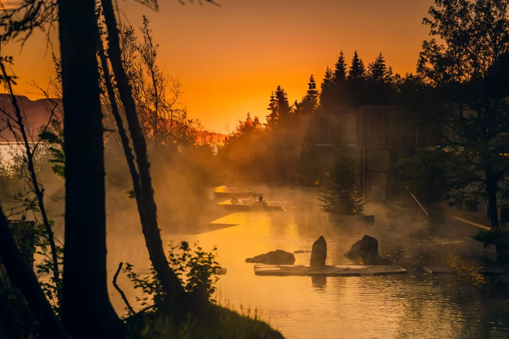 De Forest Lagoon in IJsland