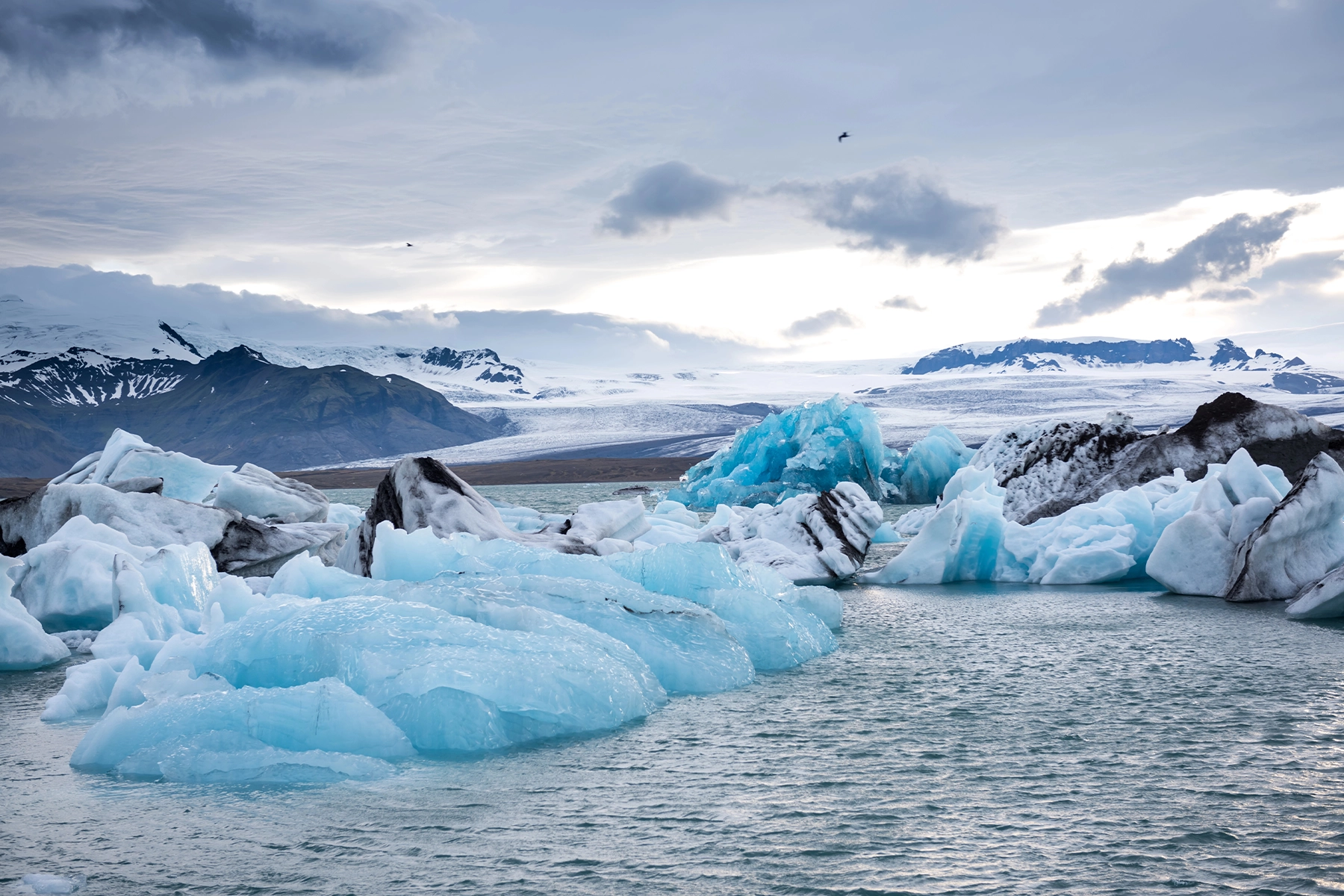 Het Jokulsarlon meer in IJsland bezoeken
